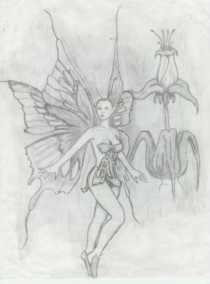fairy.jpg